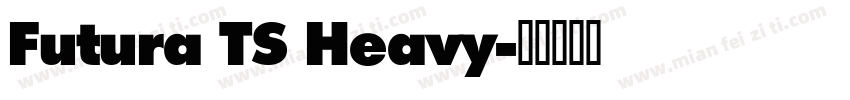 Futura TS Heavy字体转换